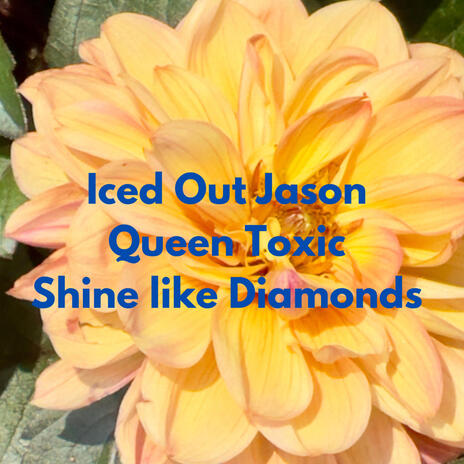 Shine Like Diamonds ft. Queen Toxic