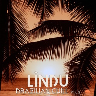 Brazilian Chill, Vol. 2