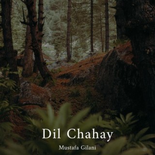 Dil Chahay (Rock Version) lyrics | Boomplay Music