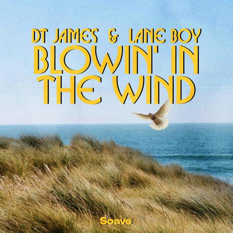 Blowin' in the Wind ft. Lane Boy | Boomplay Music