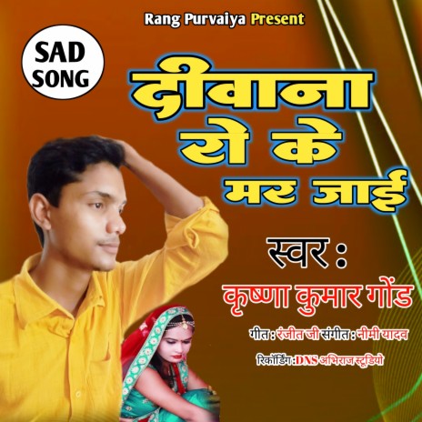 Diwana Ro Ke Mari Jae | Boomplay Music