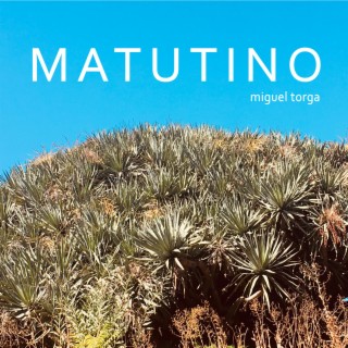 Matutino