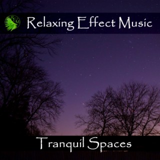 Tranquil Spaces