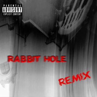 Rabbit Hole (Remix)