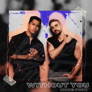 Without You lyrics | Boomplay Music