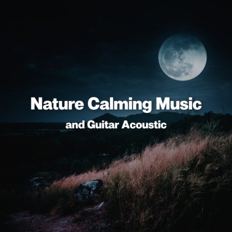 Campfire Pure Meditation | Boomplay Music