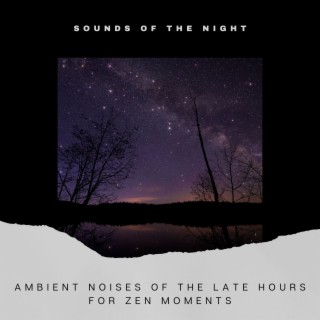 Ambient Noises of the Late Hours for Zen Moments