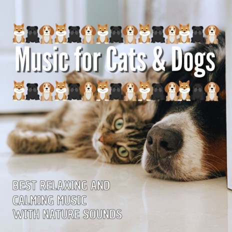 Music for Cats & Dogs
