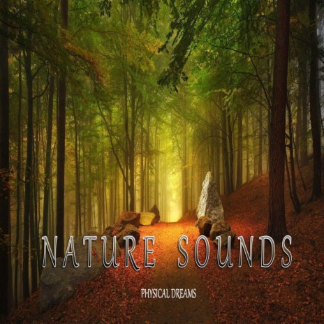 Nature Sounds Nº2 | Boomplay Music