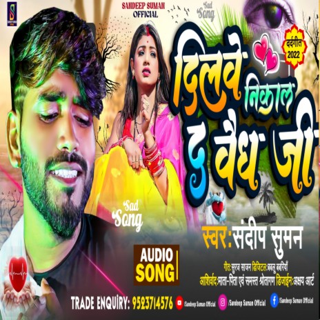Dilwe Nikal Da Vaidh Ji (maithili) | Boomplay Music