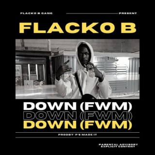 DOWN (FWM) lyrics | Boomplay Music