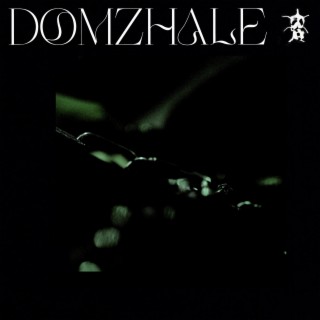 DOMZHALE ft. Kai Virtual & Dansky lyrics | Boomplay Music