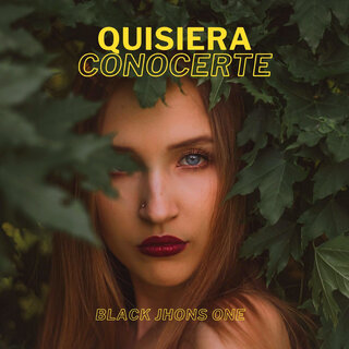 Quisiera Conocerte