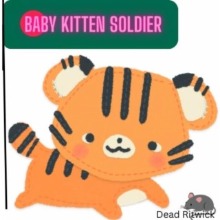 baby kitten soldier