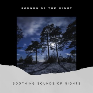 Soothing Sounds of Nights