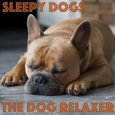 Soothing Dog Music | Boomplay Music