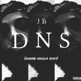 D.N.S. (Dumb Nigga Shit) lyrics | Boomplay Music