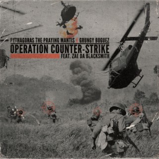 Operation COUNTER-STRIKE