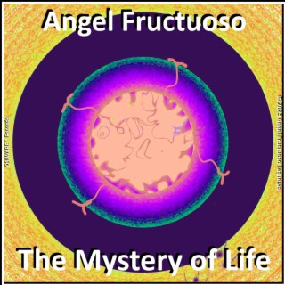 The Mystery of Life