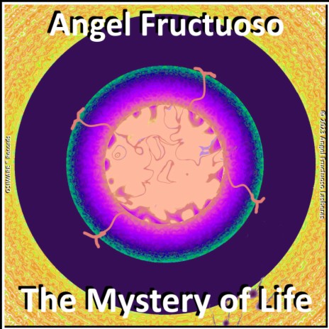 The Mystery of Life