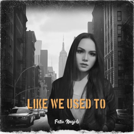 Like We Used To | Boomplay Music