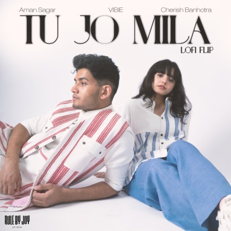 Tu Jo Mila (Lofi Flip) ft. Cherish Banhotra & VIBIE
