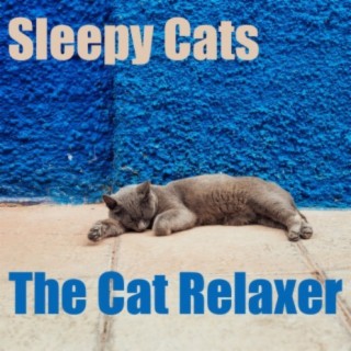 The Cat Relaxer