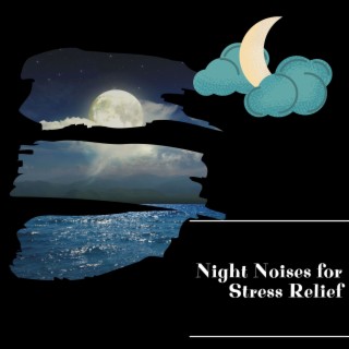 Night Noises for Stress Relief