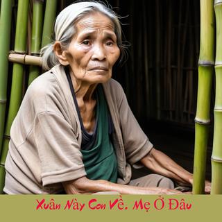 Xuân Này Con Về, Mẹ Ở Đâu