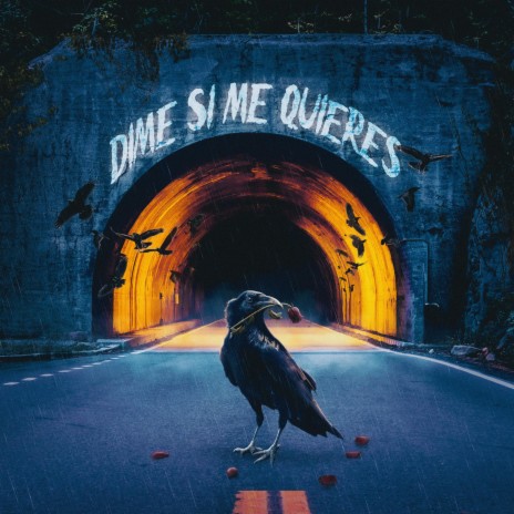 Dime Si Me Quieres | Boomplay Music