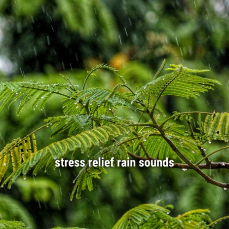 relaxing rain sounds for sleep ft. Rain Sounds ACE & Rain Sounds Sleep | Boomplay Music