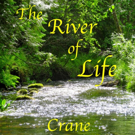 The River of Life | Boomplay Music