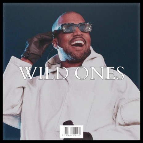 WILD ONES | Boomplay Music