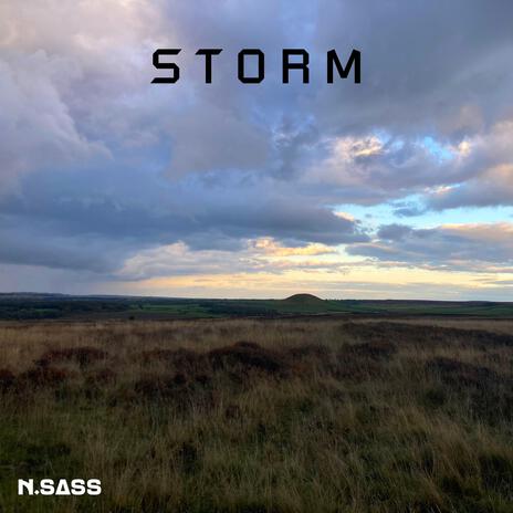 STORM (Instrumental) | Boomplay Music