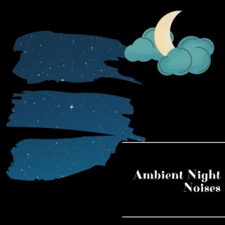 Ambient Night Noises