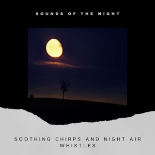 Soothing Chirps and Night Air Whistles