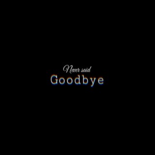 Never Said Goodbye