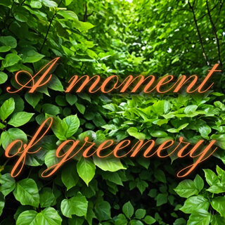 A Moment of Greenery