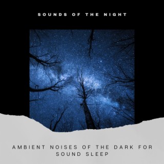 Ambient Noises of the Dark for Sound Sleep