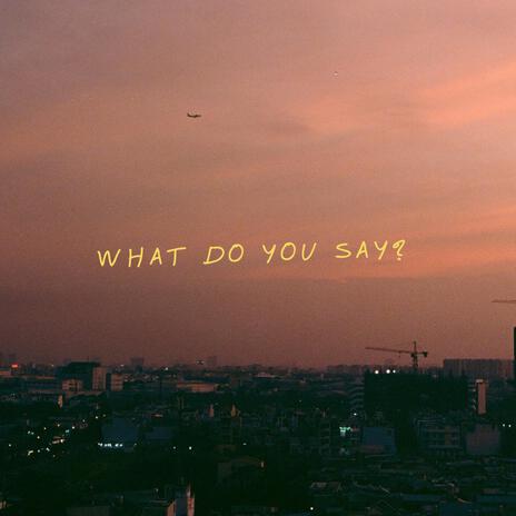 What Do You Say? | Boomplay Music