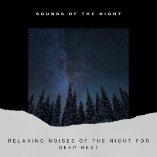 Relaxing Noises of the Night for Deep Rest