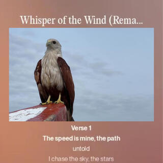 Whisper of the Wind