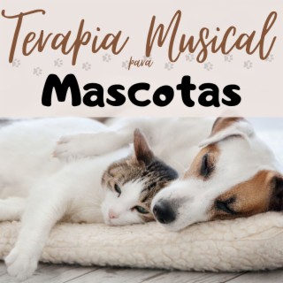 Terapia Musical para Mascotas: Canciones de Cuna para Perros y Gatos