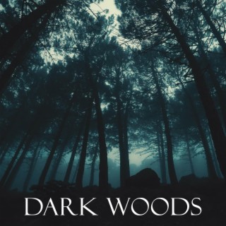 Dark Woods (Ambient Soundscape)