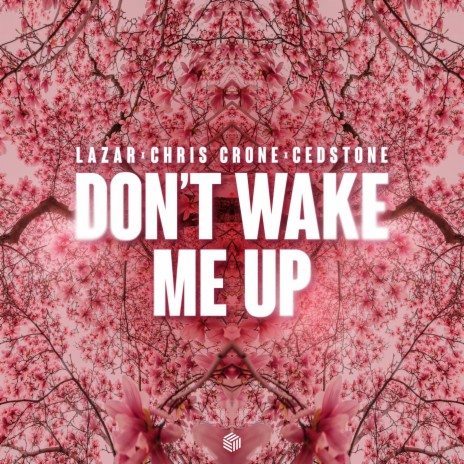 Don't Wake Me Up ft. Chris Crone & Cedstone | Boomplay Music