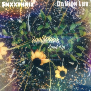 Sunflower (Sped Up) ft. Smxxthniz lyrics | Boomplay Music