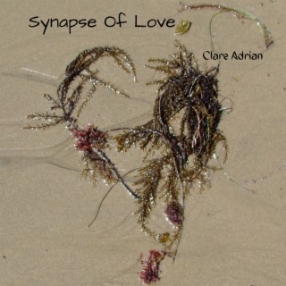 Synapse Of Love