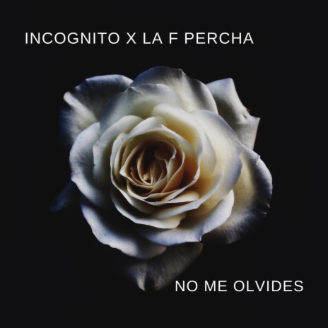 No Me Olvides (feat. La F Percha) | Boomplay Music