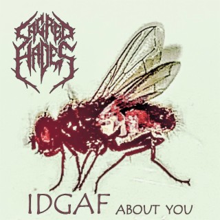 I.D.G.A.F. About You