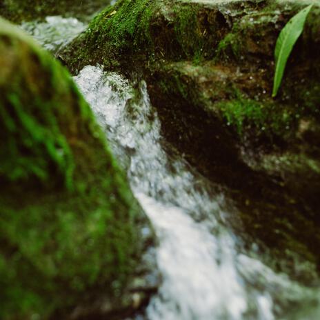 Very Small Wild River Running Through the Woods ft. Relaxing Spa Music & Easy Sleep Music | Boomplay Music